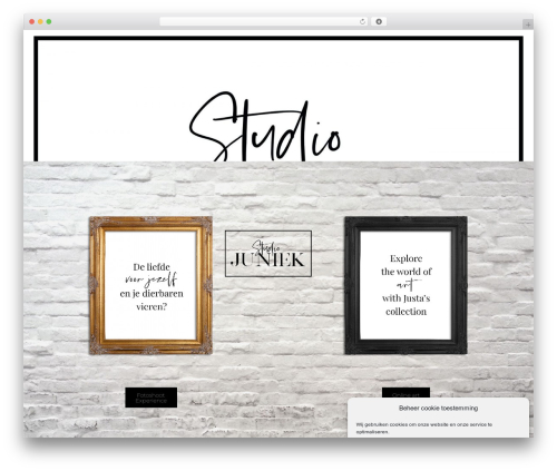 Lazy load for images WordPress plugin - www.studiojuniek.com