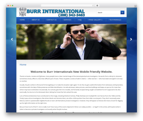 Theme WordPress Solution - burrinternational.com
