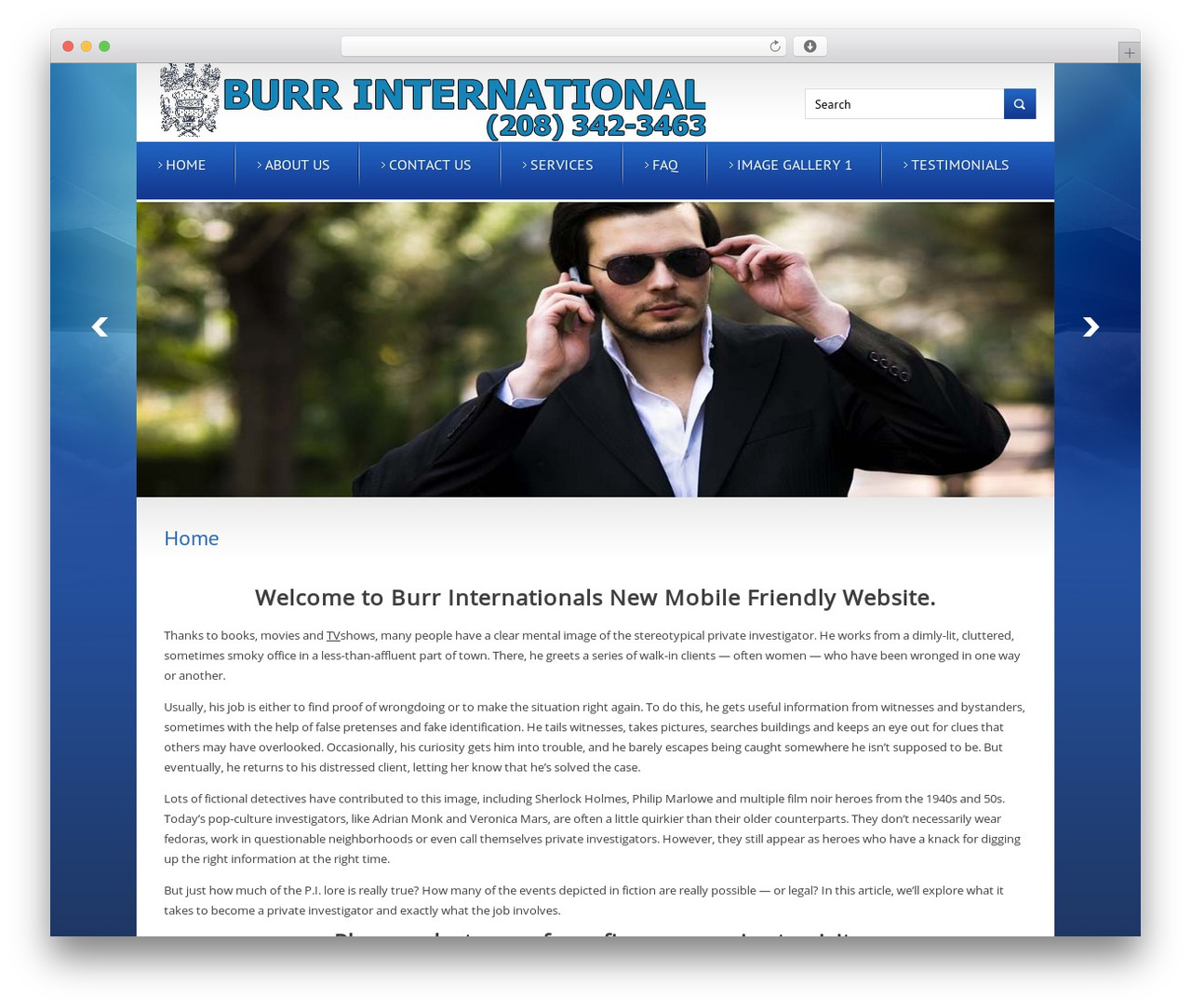 Theme WordPress Solution - burrinternational.com