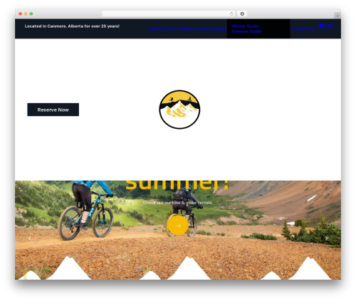 Ninja google review WordPress plugin - gearupsport.com