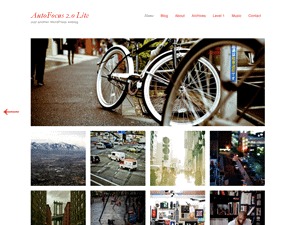 AutoFocus Pro WordPress theme image by allancole