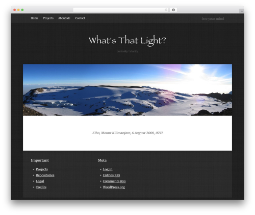Best WordPress theme deLayed - whatsthatlight.com