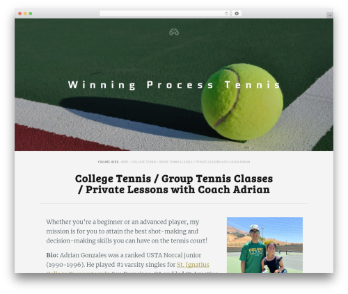 Best WordPress template Sparrow - winningprocesstennis.com