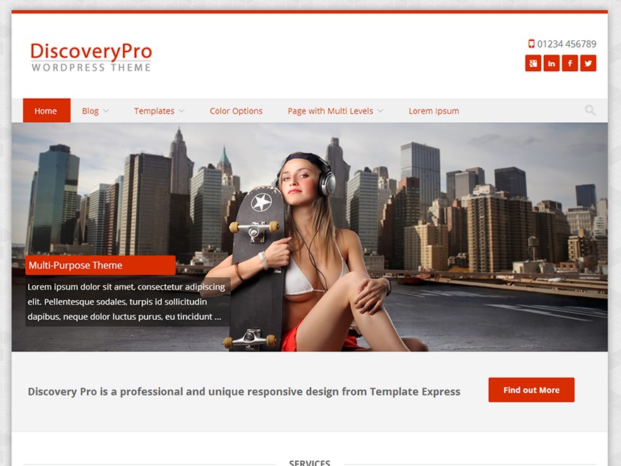 DiscoveryPro theme WordPress by Ossie Heffell