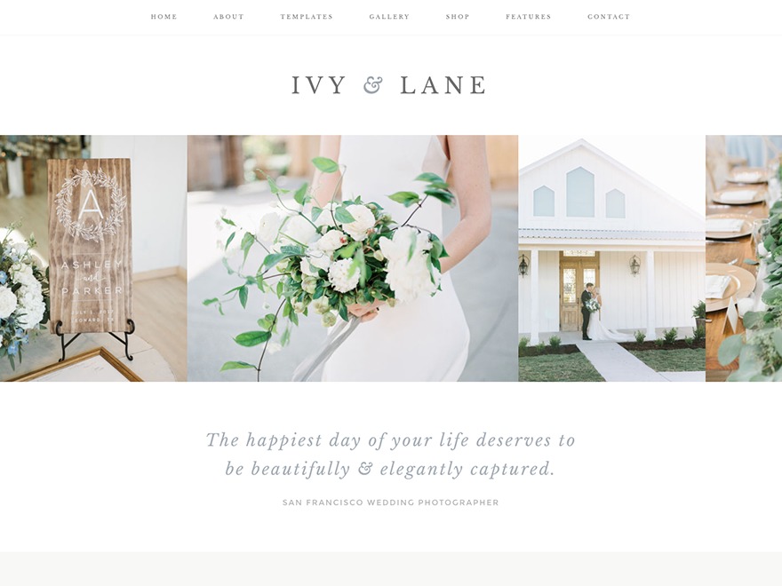 Ivy WordPress theme Ivy WordPress theme