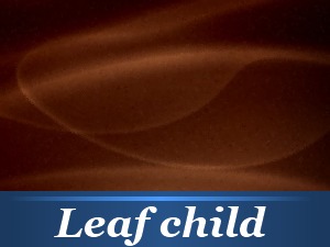 Leaf Child WordPress theme Leaf Child WordPress theme