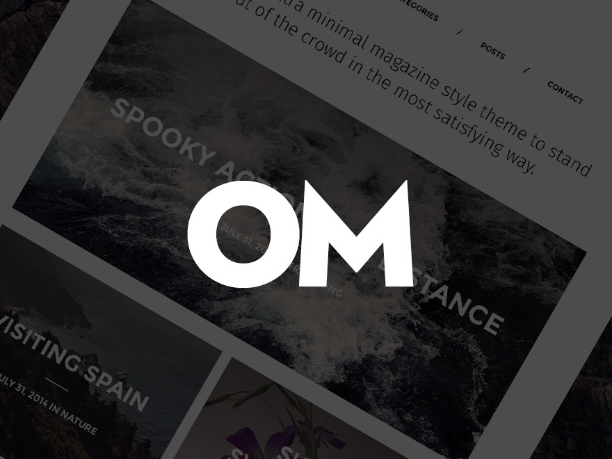 Om WordPress blog theme