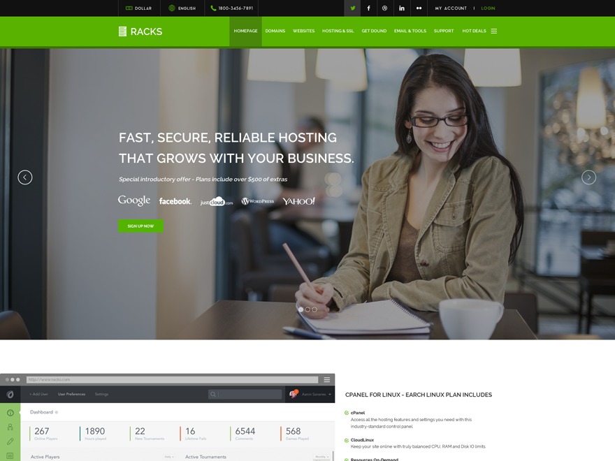 Racks WordPress theme by Theme Alien