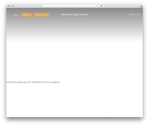 Innermedia high vis WordPress plugin - beachborough.com