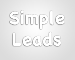 SimpleLeads WordPress theme by Brad Williams