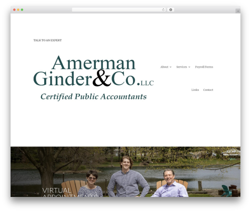 Theme WordPress Divi - amermangindercpa.com