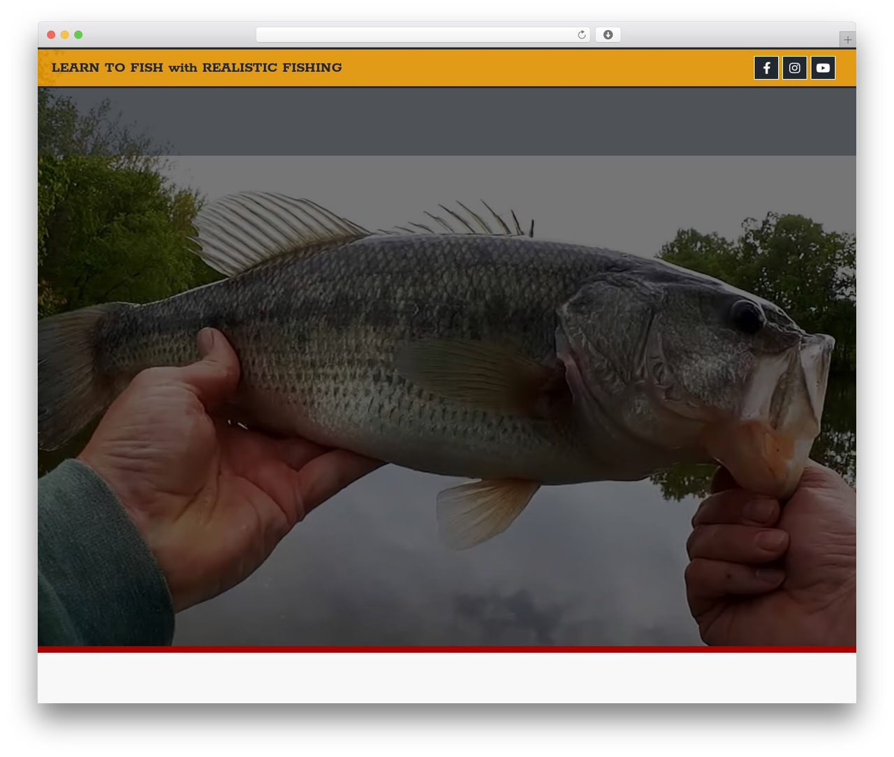Theme WordPress JupiterX - realisticfishing.com