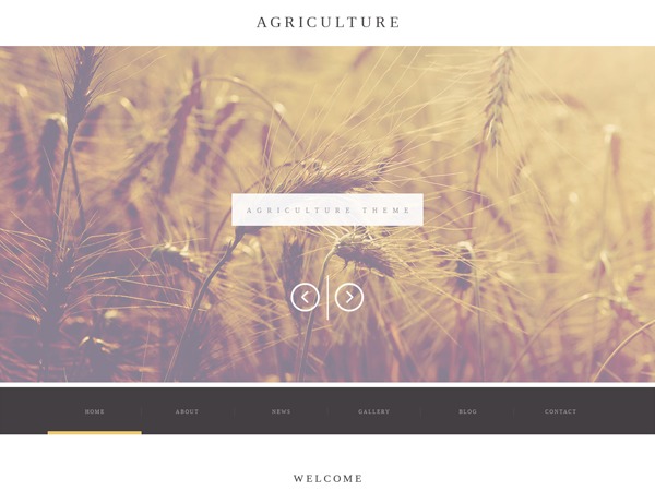 theme52173 WordPress website theme by Template_Help.com