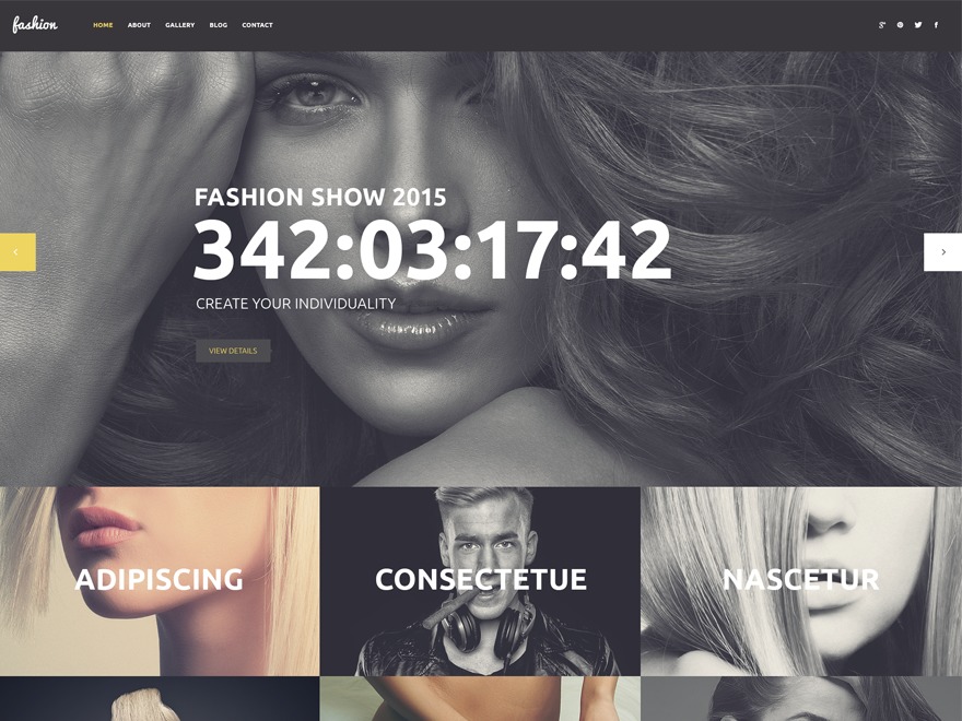 theme53263 theme WordPress theme53263 theme WordPress