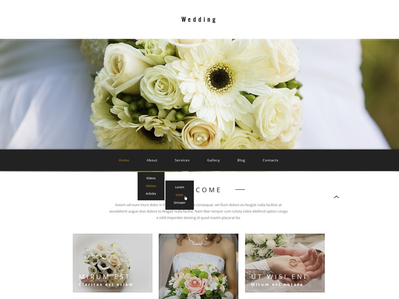 WordPress theme theme54584 WordPress theme theme54584