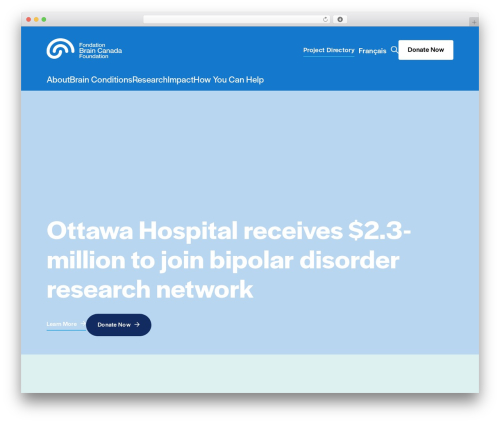 WordPress theme braincanada - braincanada.ca