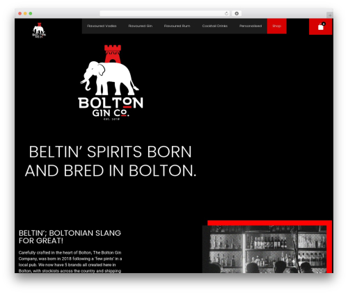 Extra Product Options (Custom Addons) for WooCommerce (extra-product-addons-for-woocommerce) free WordPress plugin - theboltongincompany.co.uk Extra Product Options (Custom Addons) for WooCommerce (extra-product-addons-for-woocommerce) free WordPress plugin - theboltongincompany.co.uk