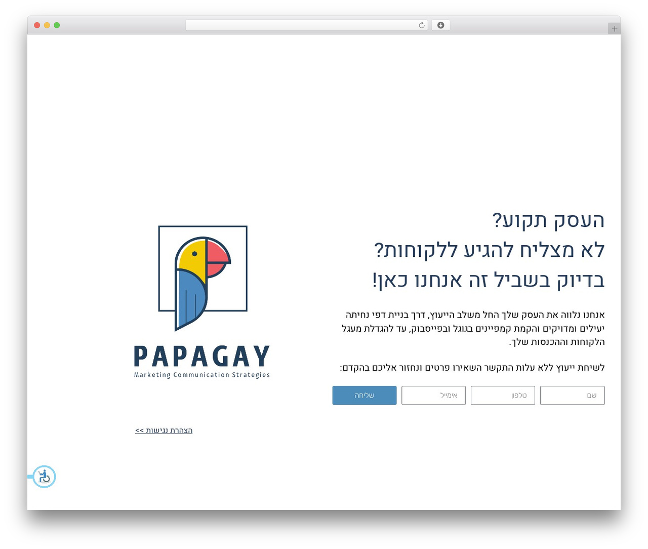 WordPress website theme Hello Elementor - papagay-lp.co.il WordPress website theme Hello Elementor - papagay-lp.co.il