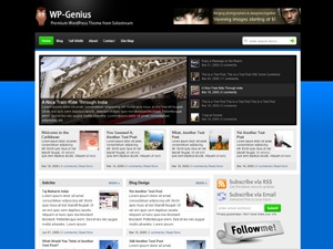 WP-Genius 1.0 Basic WordPress shop theme by Solostream Global Media