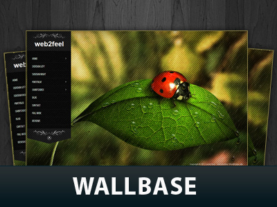 WP theme Wallbase
