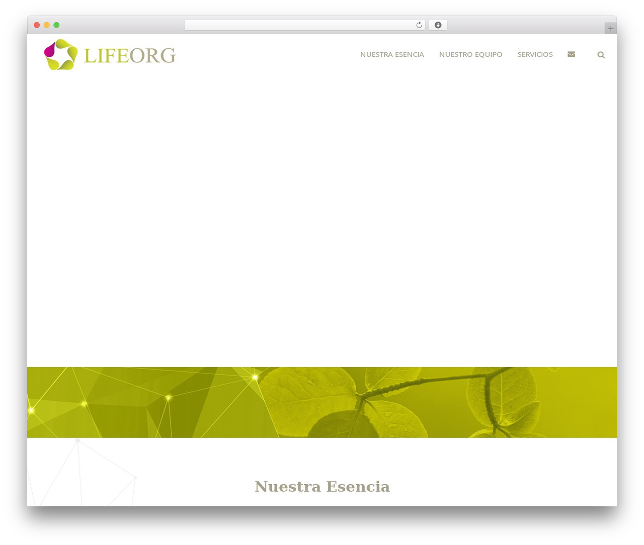 August best WordPress theme - lifeorg.pe August best WordPress theme - lifeorg.pe
