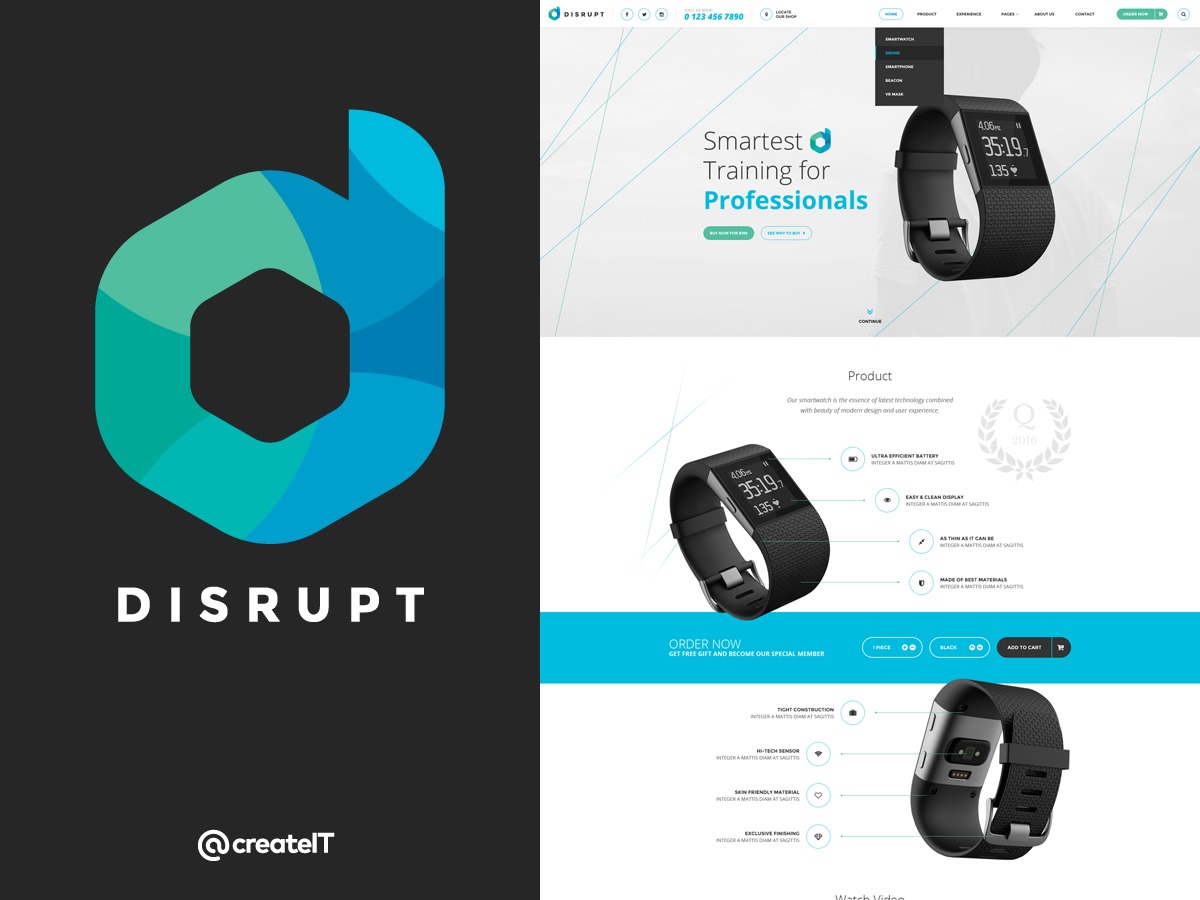 Disrupttheme WordPress theme