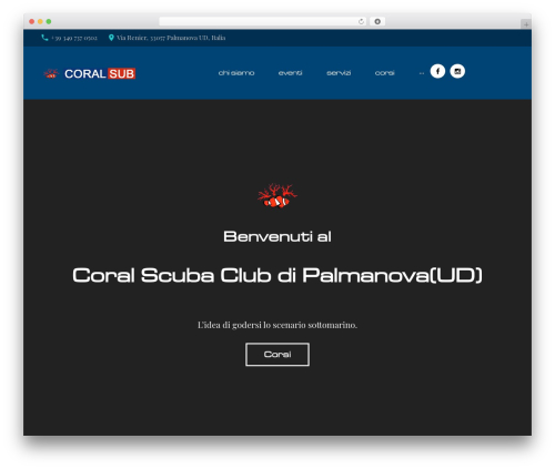 Gallery WordPress plugin - coralsub.it