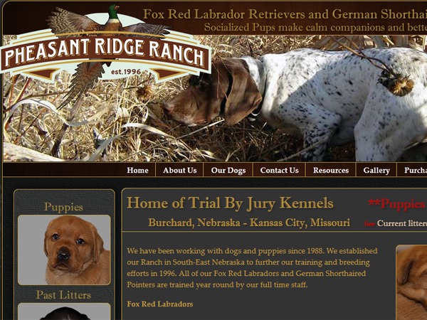 pheasant WordPress theme design by A2z