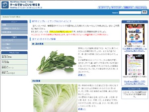 SampleTemplate11(WP2.7) Blue theme WordPress by Tsunehisa Hazama