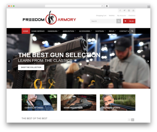 Web font social icons WordPress plugin - freedom-armory.com