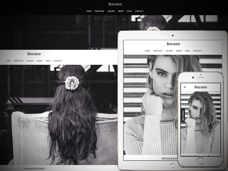 WP theme Borano - Child WP theme Borano - Child