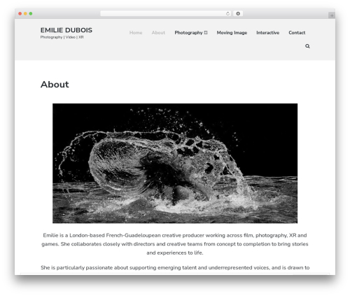 Atomic Blocks WordPress theme image - emiliedubois.com