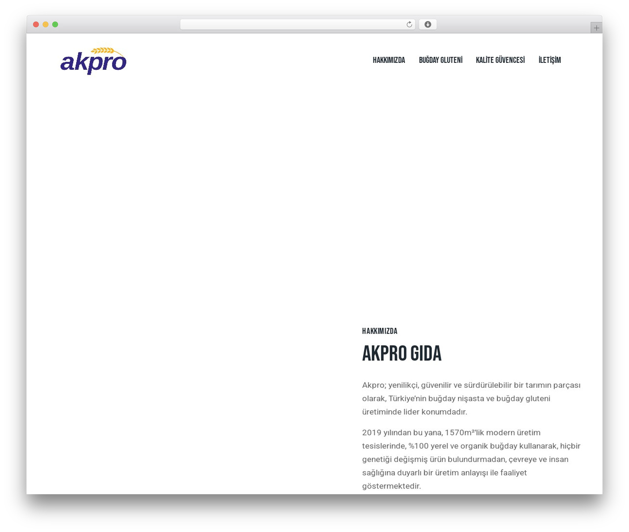 EcoGrow theme WordPress - akprogida.com EcoGrow theme WordPress - akprogida.com