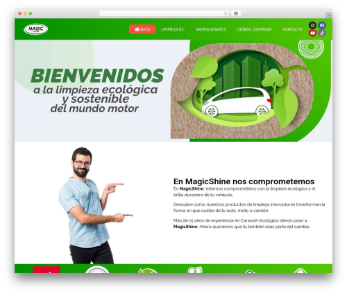Embedder for google reviews WordPress plugin - magicshine.cl