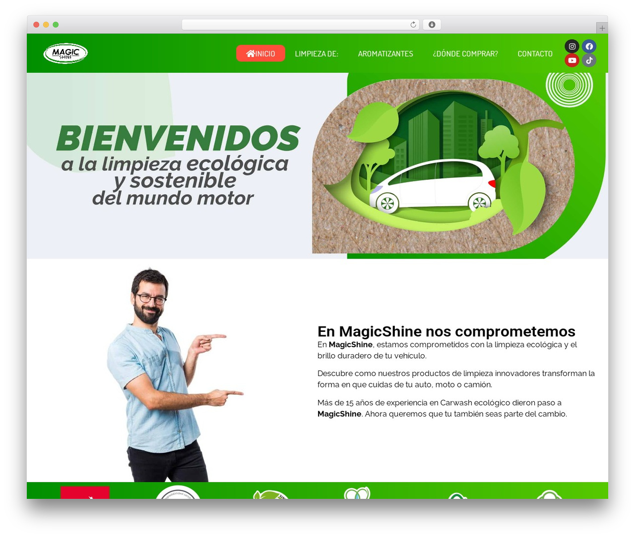 Hello Elementor theme WordPress - magicshine.cl