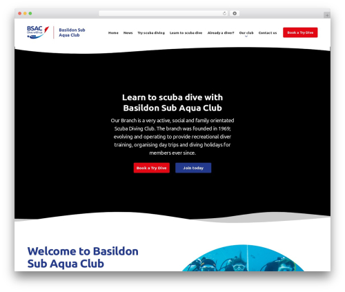 Kolodo Base Theme WordPress theme - basildonsubaqua.com