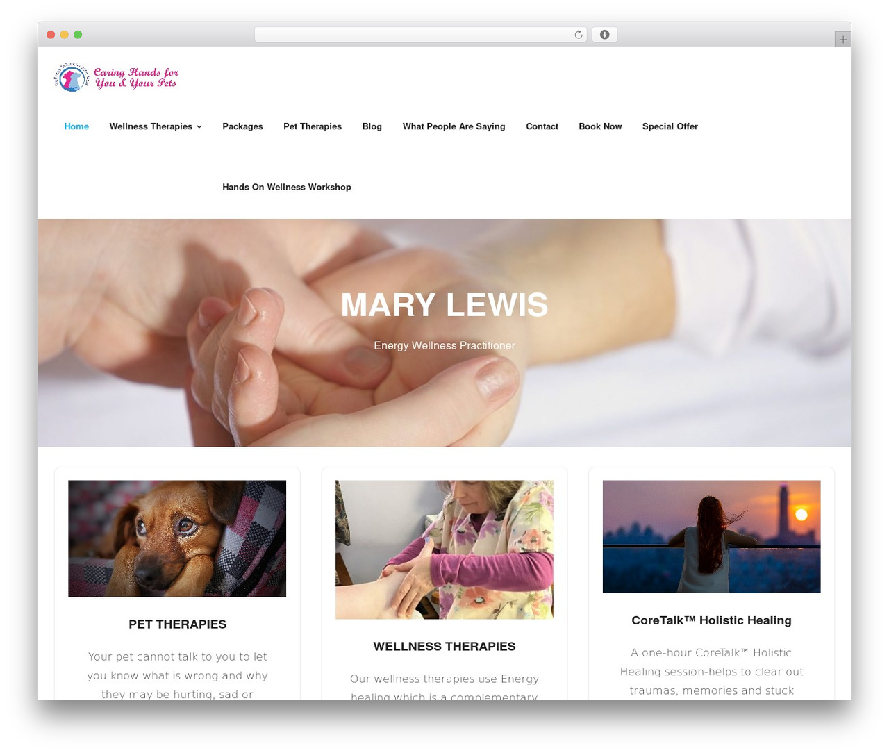 WordPress theme Shuttle - wellnesssolutionswithmary.com WordPress theme Shuttle - wellnesssolutionswithmary.com