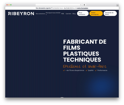 WordPress theme WP Master Theme - www.ribeyron.com
