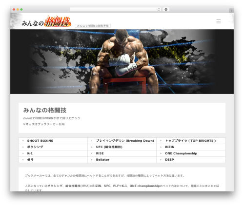 everyone WordPress theme - minnano-kakutougi.com