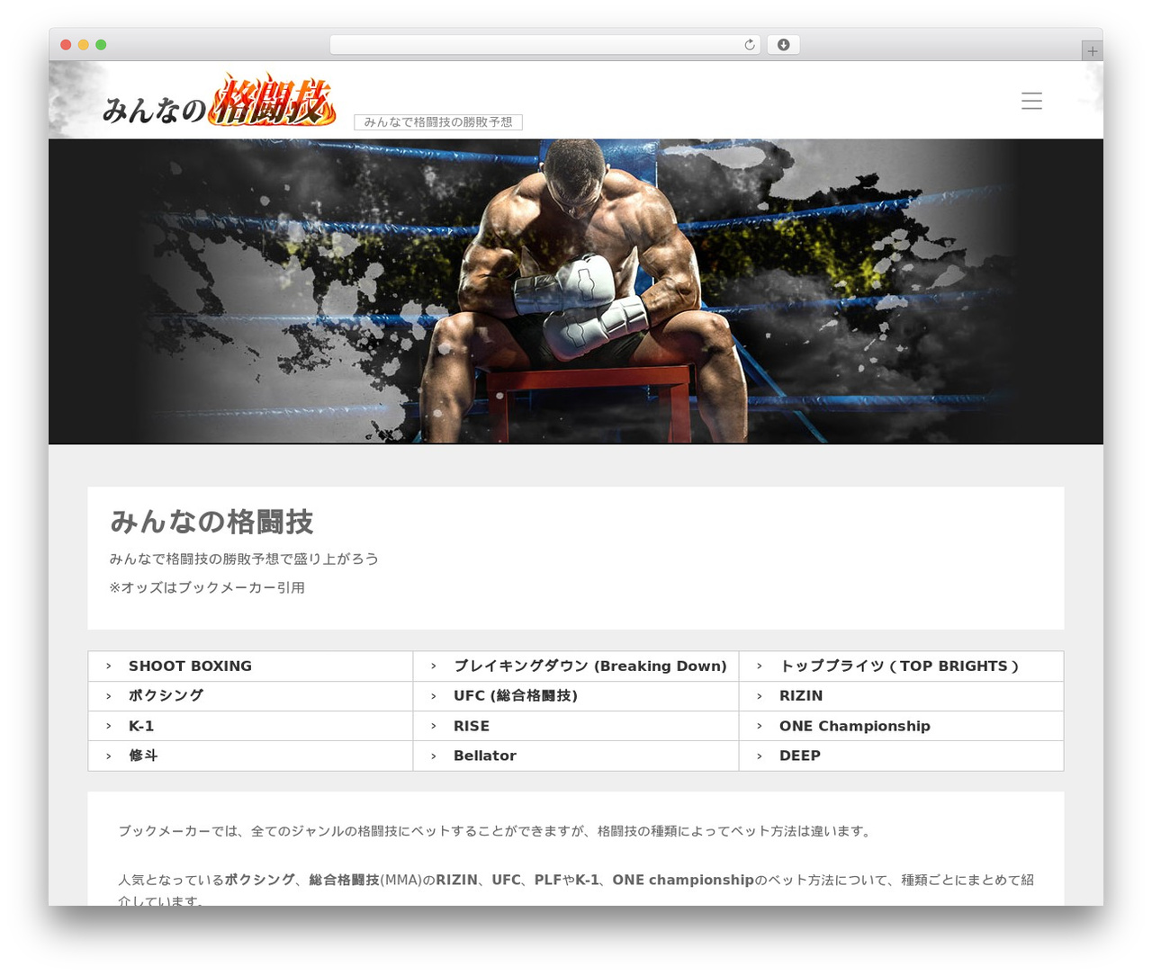 everyone WordPress theme - minnano-kakutougi.com