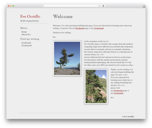 Sutra WordPress theme - eveocotillo.com