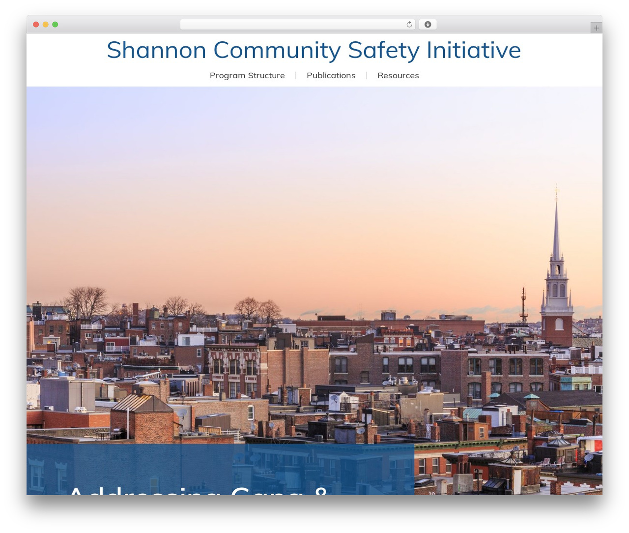 v215 WordPress theme - shannoncsi.com