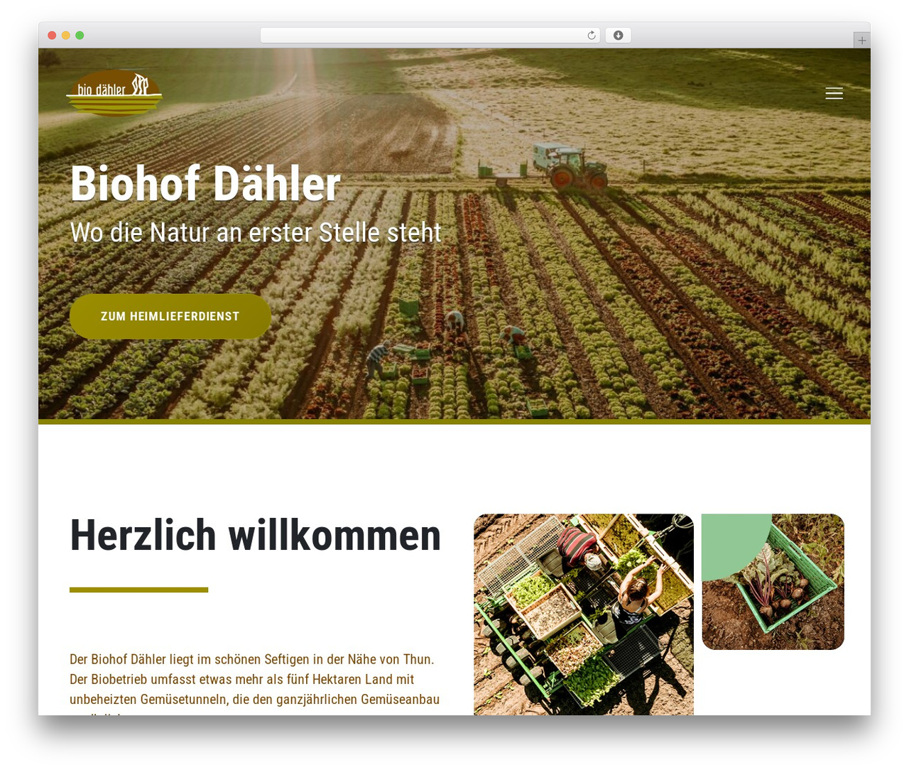WordPress website theme Biohoff - biohof-daehler.ch WordPress website theme Biohoff - biohof-daehler.ch