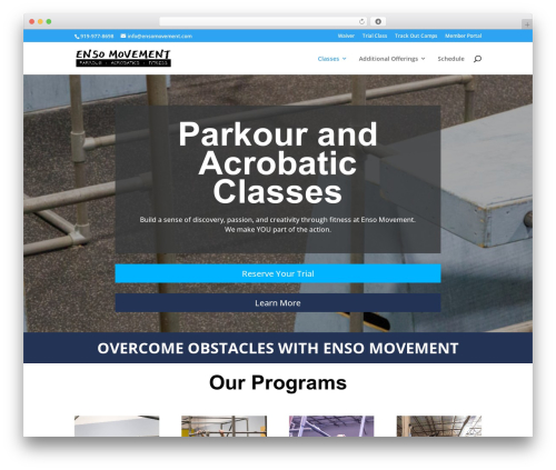 Divi learndash kit WordPress plugin - ensomovement.com