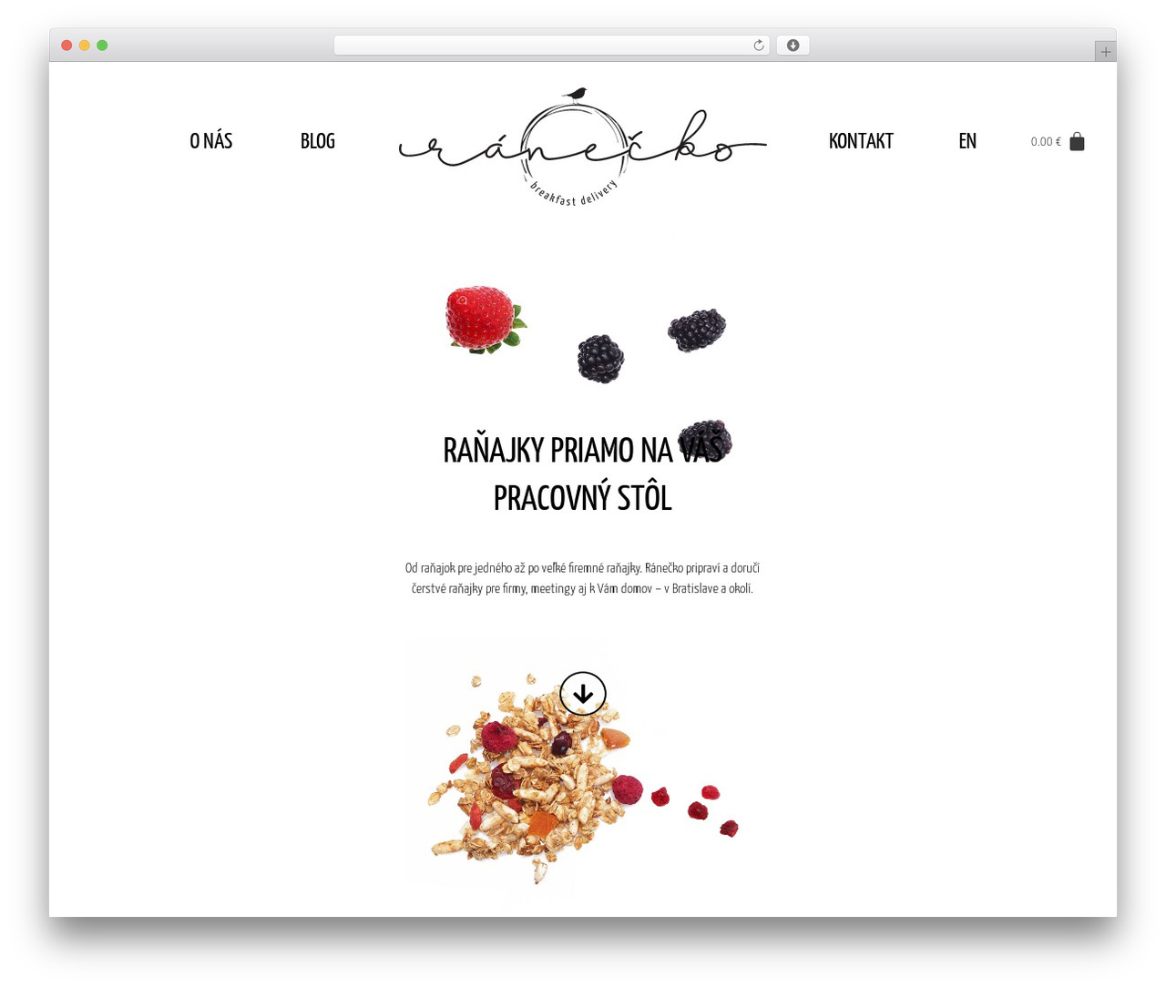 Hello Elementor WordPress theme - ranecko.sk