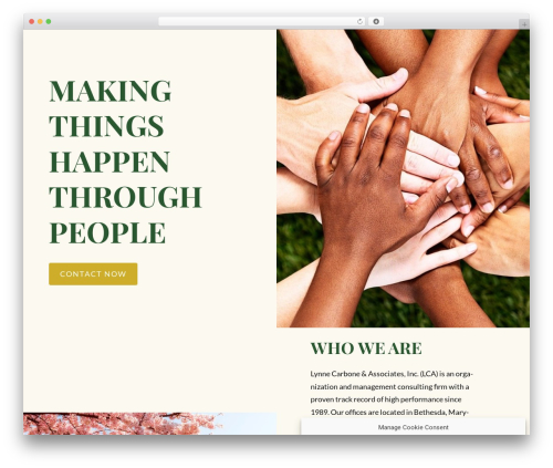 Theme WordPress Constructor - lynnecarbone.com