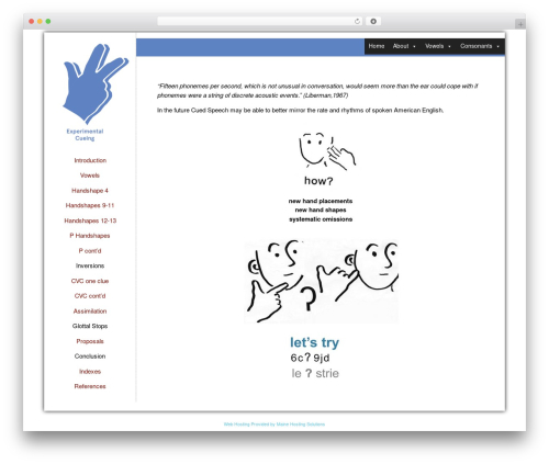 Theme WordPress MHS Custom Version 4.1 - experimentalcueing.com