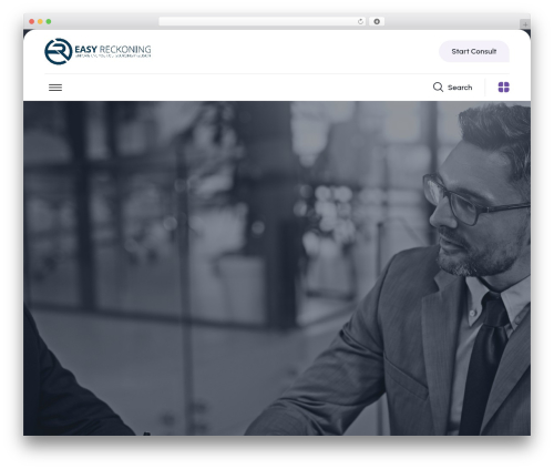 WordPress theme Counsolve - easyreckoning.com