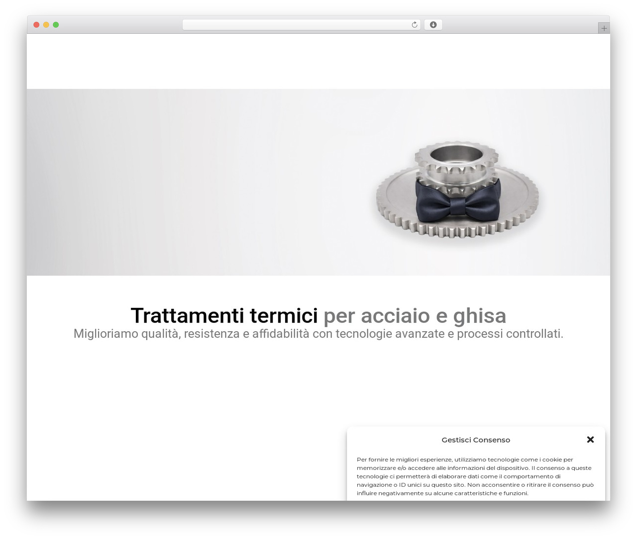 WordPress theme Elementra - intra-tt.it