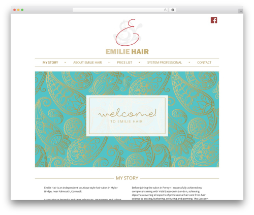 8wire WordPress theme - emiliehair.co.uk